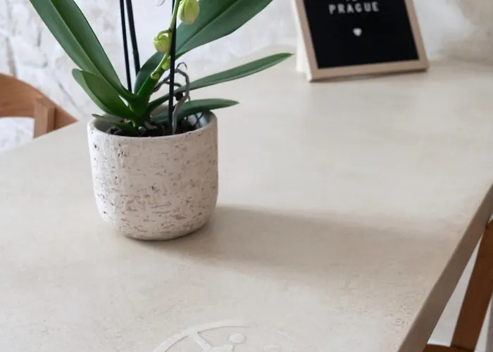 Wabi Sabi Nest W/ Garage Apartamento *